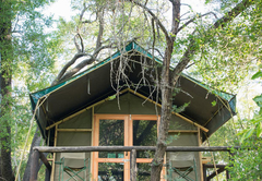 Safari Tent Double