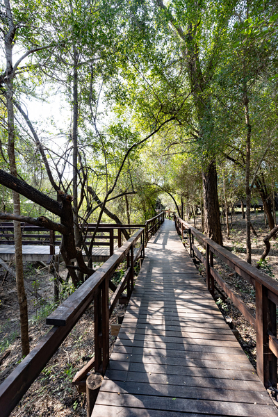 Ndzhaka Tented Camp
