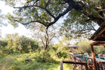 Ndzhaka Tented Camp