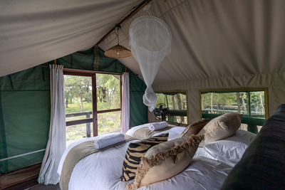 Safari Tent Twin