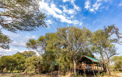 Safari Tent Twin