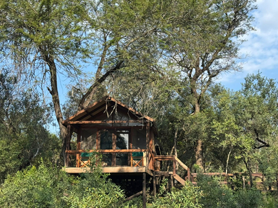 Safari Tent Twin