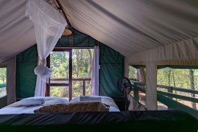 Safari Tent Twin