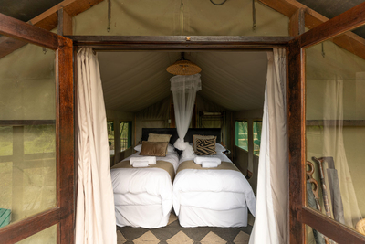 Safari Tent Twin