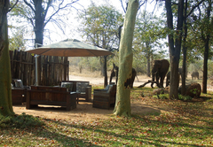 nDzuti Safari Camp