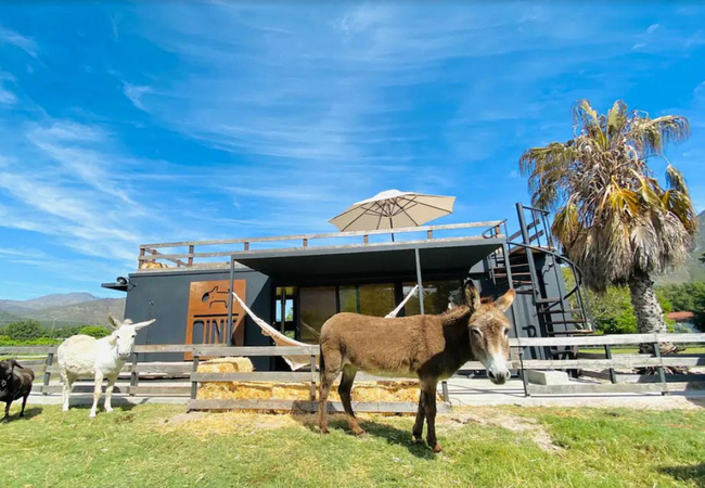 Neighbourgood Farm Sanctuary