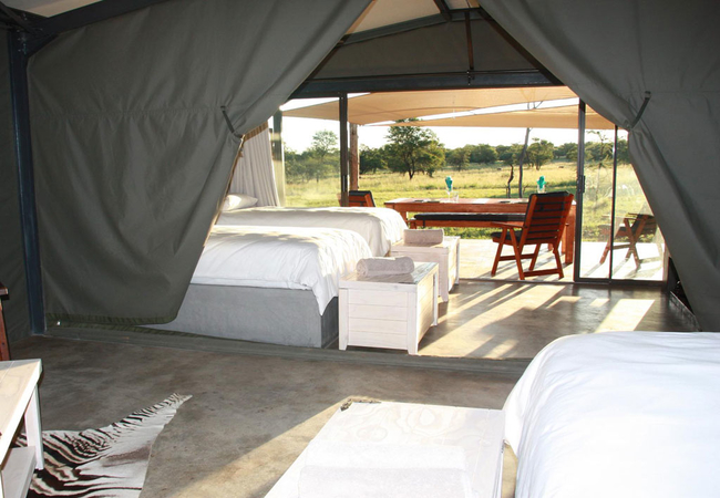 Luxury Bush Tents