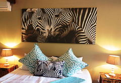 Zebras Triple Room