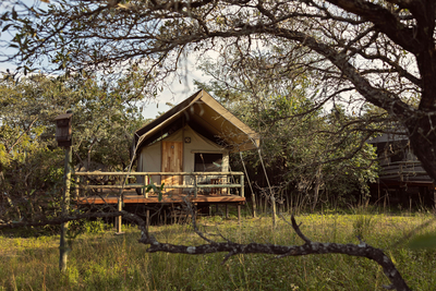 Nkambeni Safari Camp