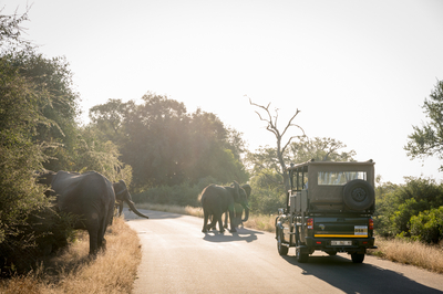 Nkambeni Safari Camp