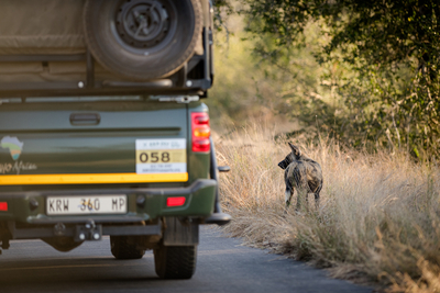 Nkambeni Safari Camp