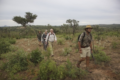 Nkambeni Safari Camp