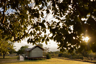 Nkambeni Safari Camp