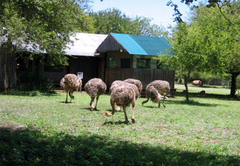 Nkonkoni Tiger Fishing Camp