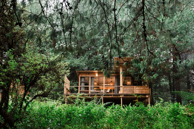 Noka River Suite