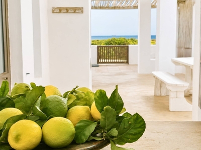 Exclusive Use Holiday Home