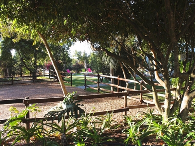 Nuwerus Lodge