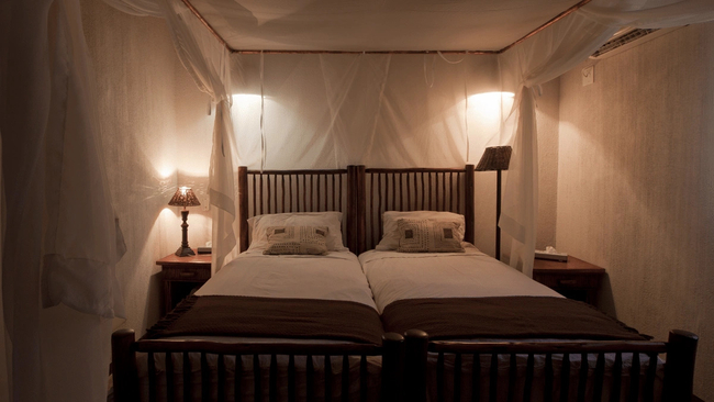 Private Cheetah Camp