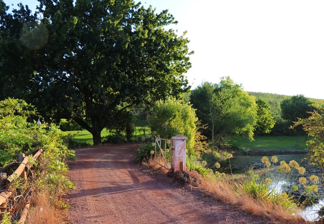 Oak Lane Cottages