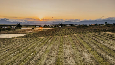 Exclusive Use Holiday Home