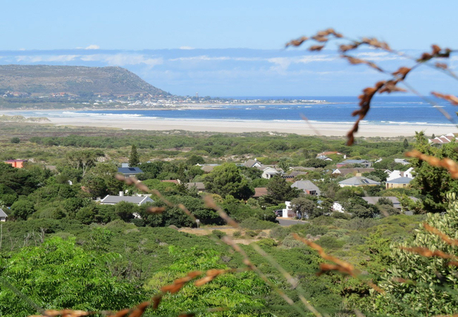 View from Gazebo