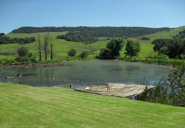 View - 1st Fishing Dam