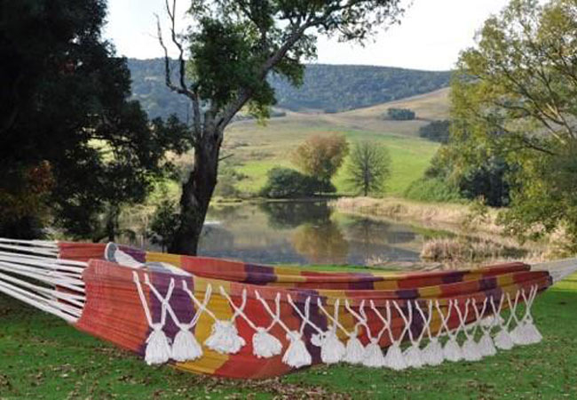 Honeybee VerandahView