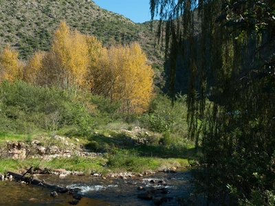 Old Mill Lodge & Restaurant