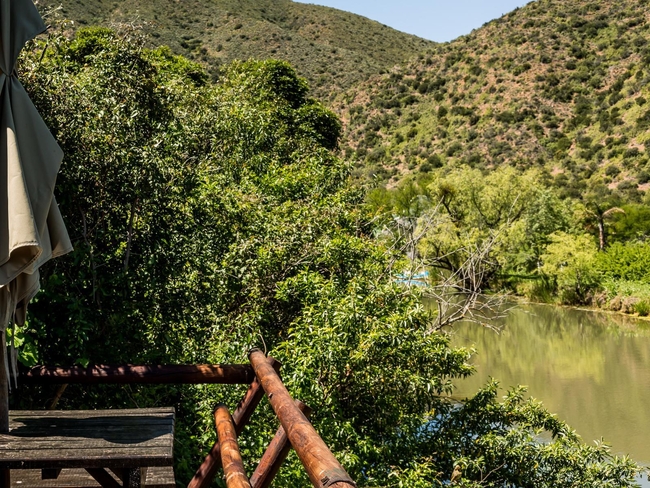 Luxury Waterfront Cottage