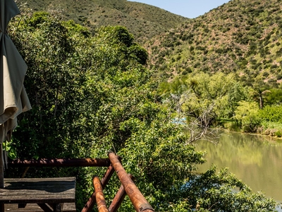 Luxury Waterfront Cottage 2, 3, 5