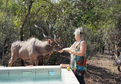 Olifant Marloth Park