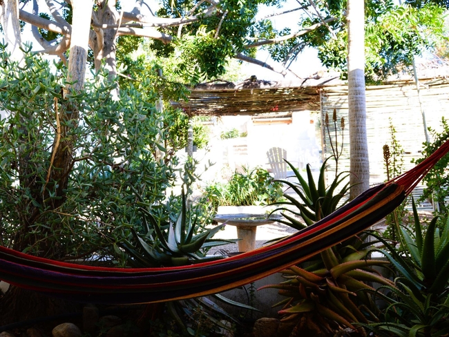 Shared Pool and Garden