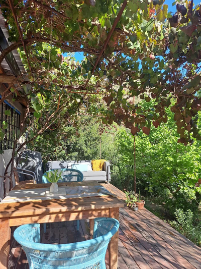Olive Cottage at Porcupine Hills