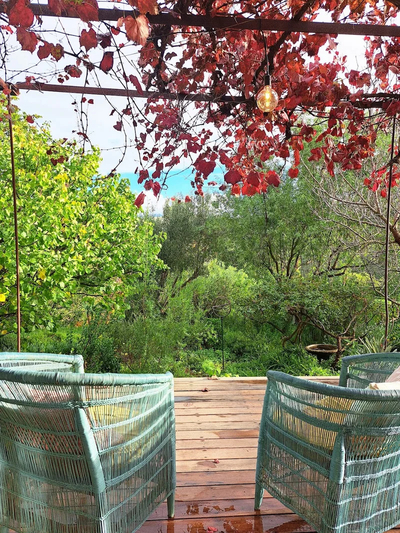 Olive Cottage at Porcupine Hills