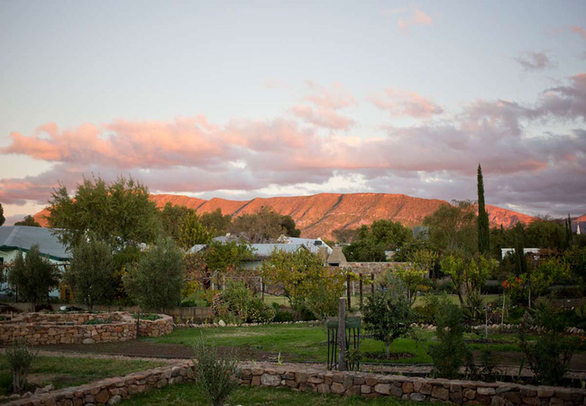 Olive Grove Cottage