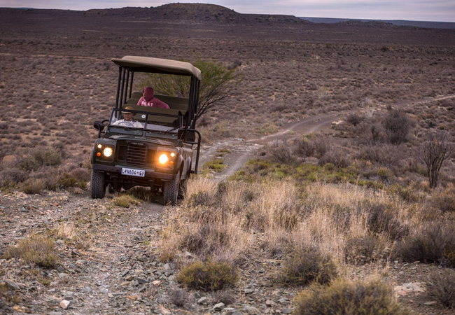 Olive Grove Guest Farm