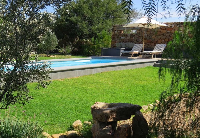 Communal Swimming Pool