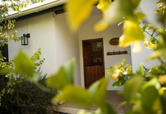 Olive Thrush Cottage