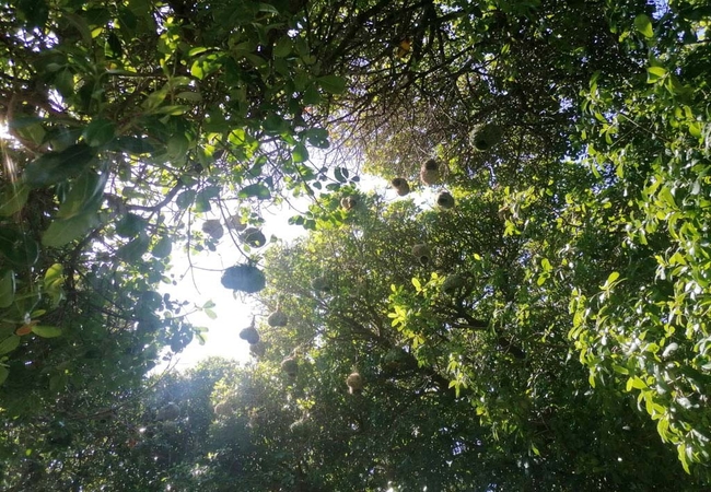 Ons Strandhuisie M18