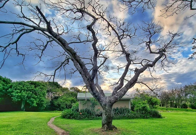 Country Cottage