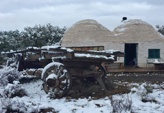 Osfontein Guest Farm