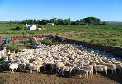 Osfontein Guest Farm
