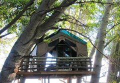 Treehouse