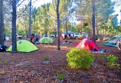Eco Campsite