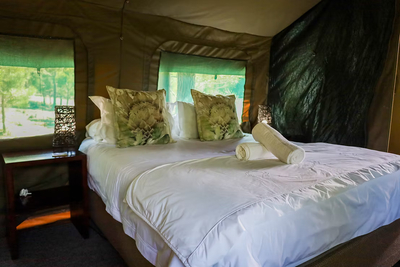 The Alpaca Tent