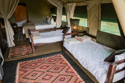 The Sugarbird Tent