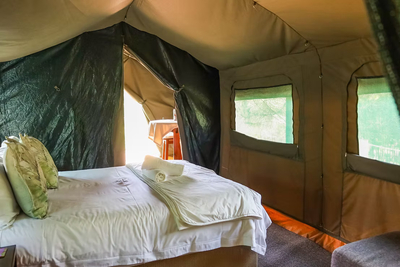 The Alpaca Tent