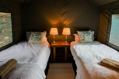 The Eagle Owl Tent