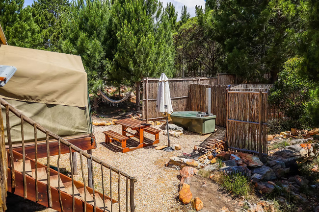The Springbok Tent