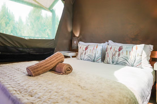 The Springbok Tent